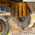 How Long Does It Take for a Professional Stump Removal Service in Winchester Virginia to Complete a Job?