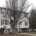 Does Timber Works Tree Care Offer Warranties on Their Stump Removal Services in Winchester, VA?