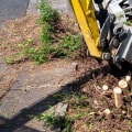 What Are the Costs of Stump Removal in Winchester, Virginia?