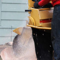 What is the Average Cost of Stump Removal Service in Winchester, Virginia?