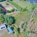 From Timberland To Tranquility: How Stump Removal Services Transform Groveland's Outdoor Spaces