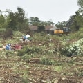What Payment Methods Does a Stump Removal Service in Winchester Virginia Accept?