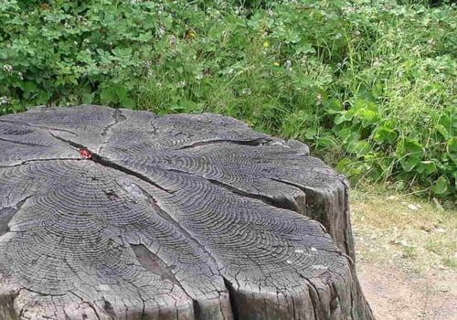 Make That Tree Stump Disappear in a Flash