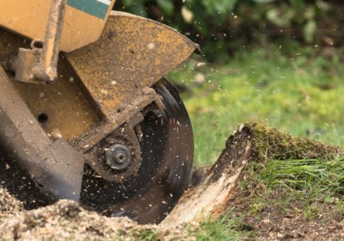 Eco-Friendly Stump Removal Services in Winchester, VA
