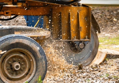 How Long Does It Take for a Professional Stump Removal Service in Winchester Virginia to Complete a Job?
