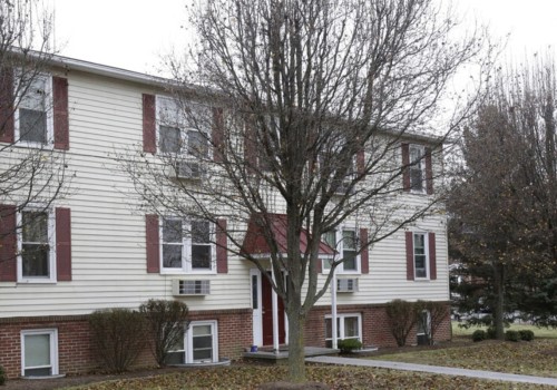 Does Timber Works Tree Care Offer Warranties on Their Stump Removal Services in Winchester, VA?