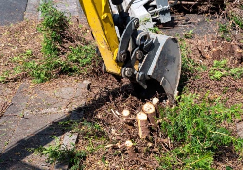 What Are the Costs of Stump Removal in Winchester, Virginia?