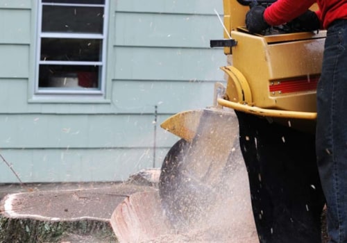 What is the Average Cost of Stump Removal Service in Winchester, Virginia?