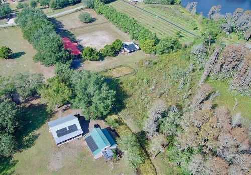 From Timberland To Tranquility: How Stump Removal Services Transform Groveland's Outdoor Spaces